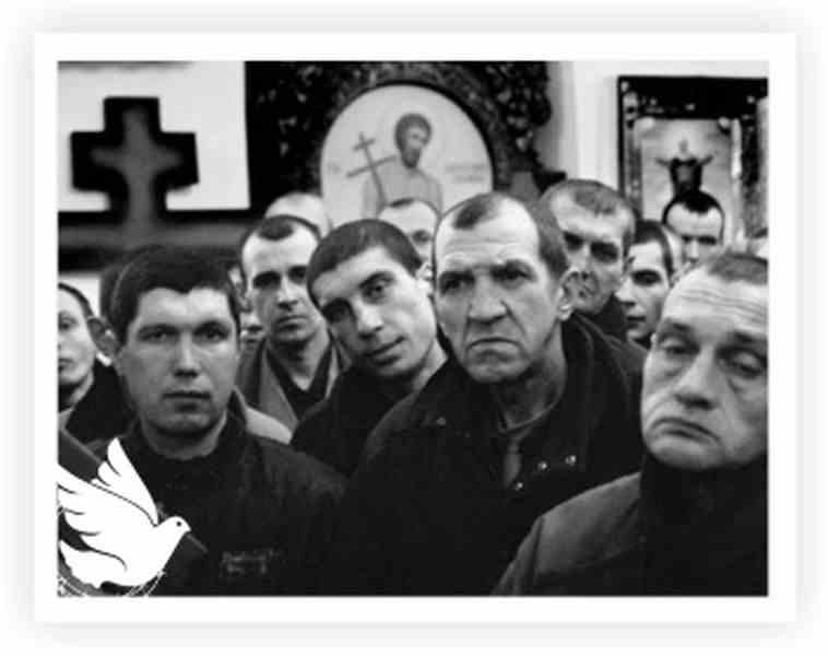 фото до публыкації Материалы СМИ: «Жизнь после освобождения»